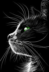 Elegant Black and White Cat Profile Premium Matte Paper Poster