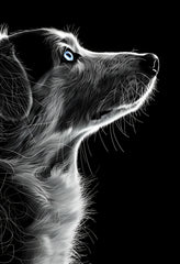 Premium Matte Paper Poster - Detailed Black and White Dog Portrait