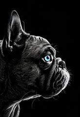 Premium Matte Paper Poster Featuring Detailed French Bulldog Illustration