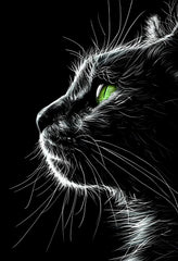 Vivid Green-Eyed Cat Premium Matte Paper Poster