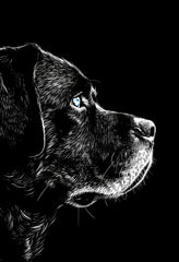 Premium Matte Paper Poster with Dramatic Monochrome Dog Illustration